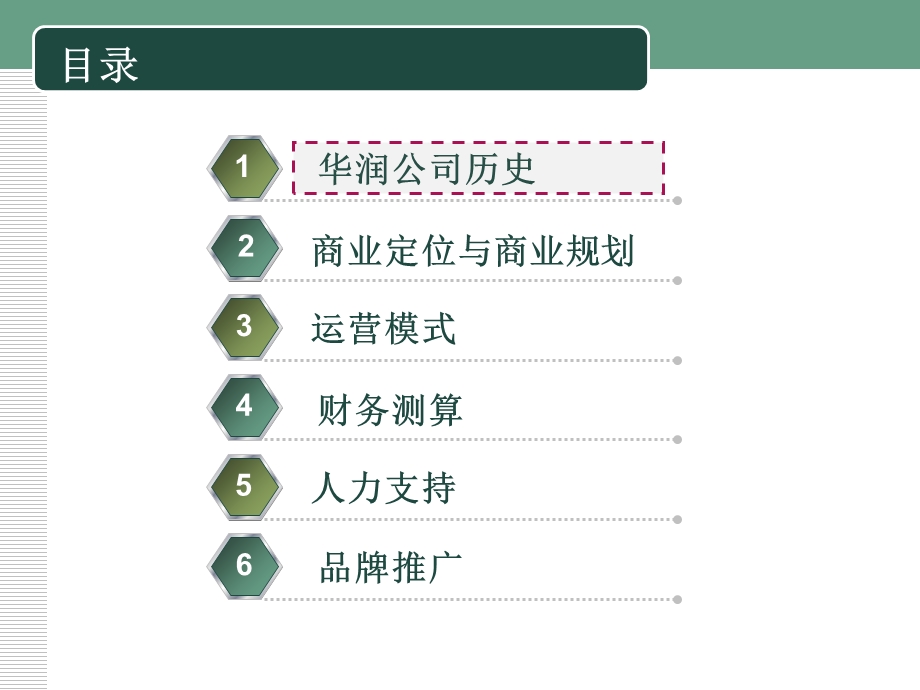 华润商业地产运营模式研究报告.ppt_第2页