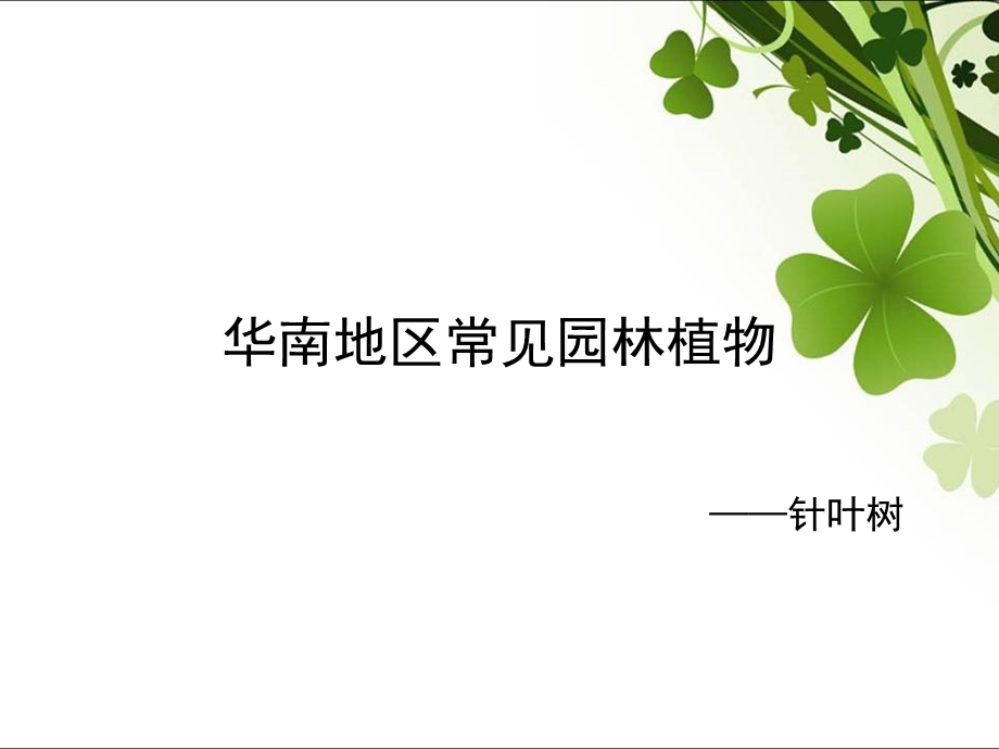 华南地区常见园林植物.ppt_第1页