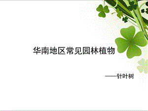 华南地区常见园林植物.ppt