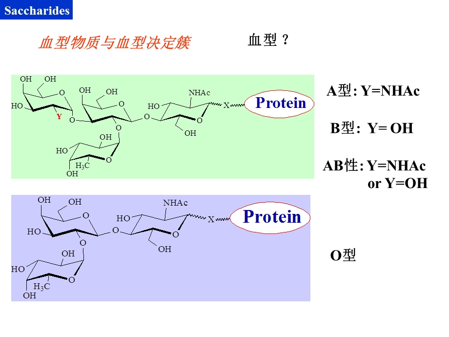 北大有机课件第十五章糖类化合物.ppt_第3页