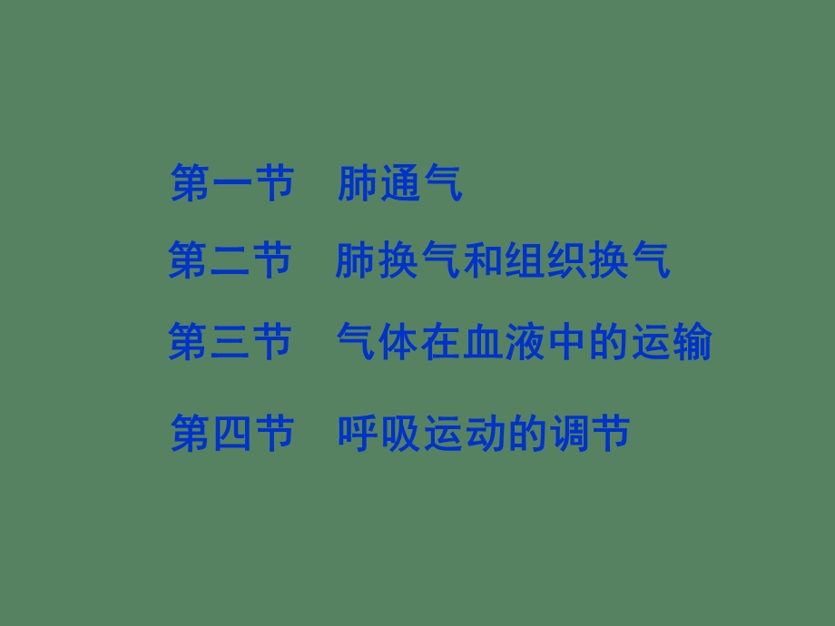 呼吸系统功能.ppt_第2页