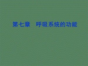 呼吸系统功能.ppt