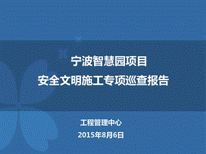 安全文明施工专项检查报告分解.ppt