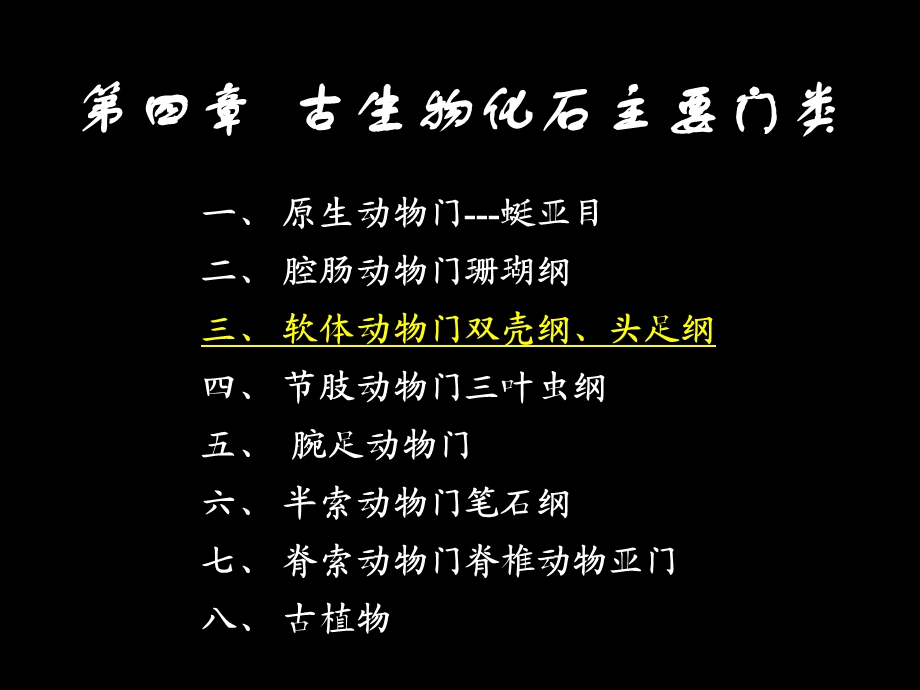 古生物的主要门类3软体动物.ppt_第1页