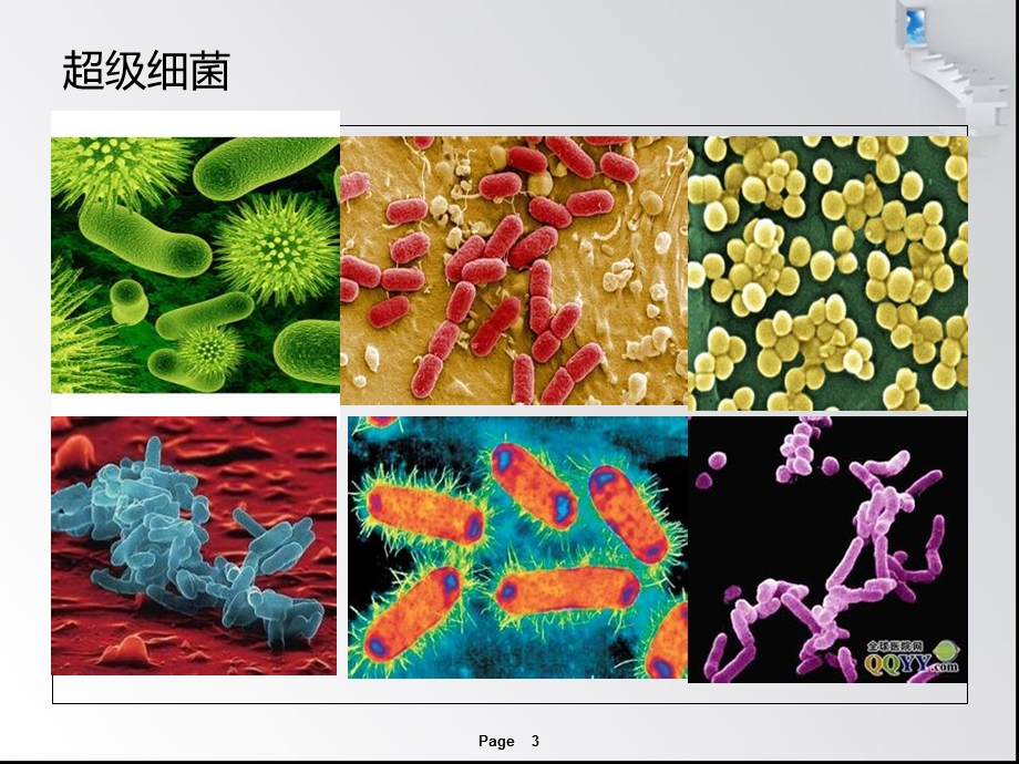 多重耐药菌感染及抗菌药物使用体会.ppt_第3页