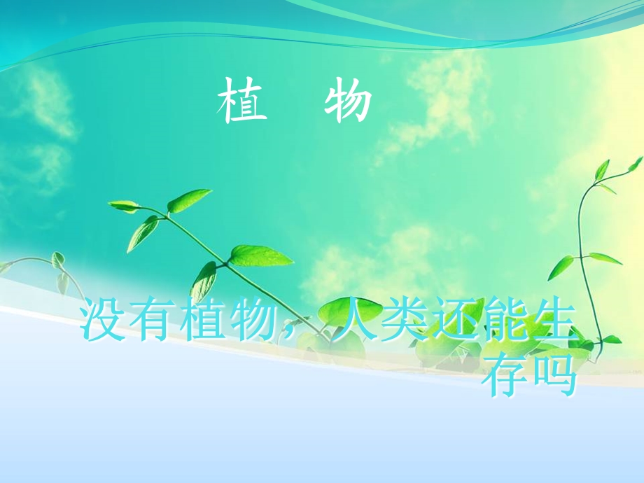 大自然奇妙的植物PPT.ppt_第1页