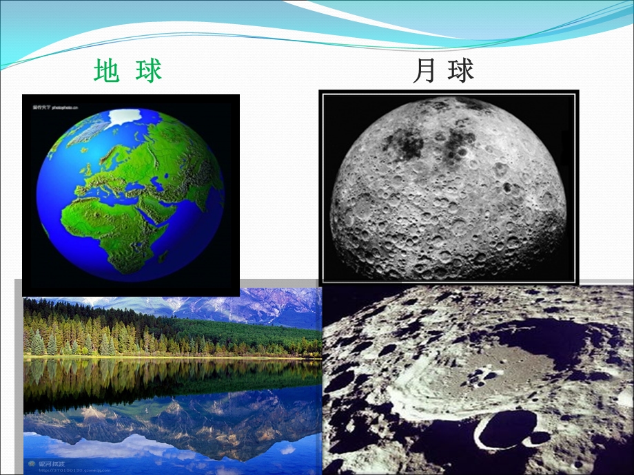 大自然奇妙的植物PPT.ppt_第2页