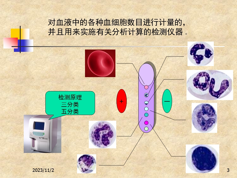 宠物血常规及白细胞分类计数.ppt_第3页