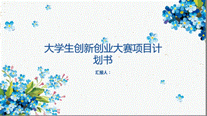 大学生创新创业大赛项目计划书.ppt