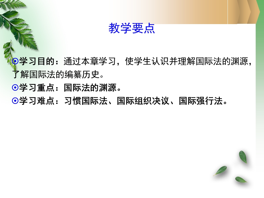 国际法课件第二章-国际法的渊源.ppt_第2页