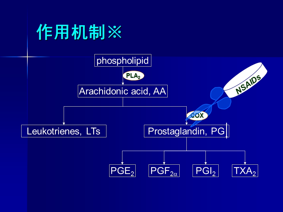 哈医大药理课件020-解热镇痛药.ppt_第3页