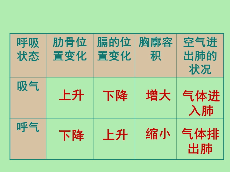 呼吸复习要点.ppt_第2页