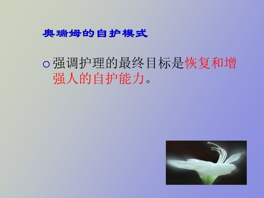 奥瑞姆的自护模式.ppt_第2页