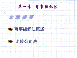国际商法教案第一讲商事组织法.ppt
