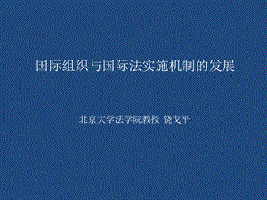 国际组织与国际法实施机制发展.ppt