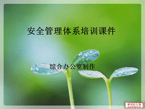 安全管理体系培训课件.ppt