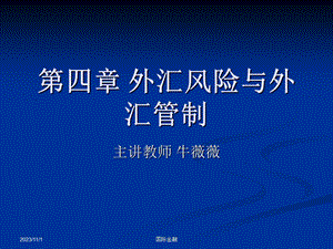 国际金融课件 第四章外汇风险与外汇管制.ppt