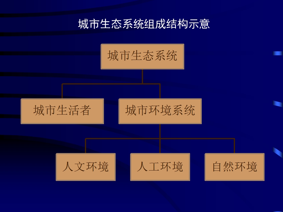 城市保护与可持续发展-周俭.ppt_第3页