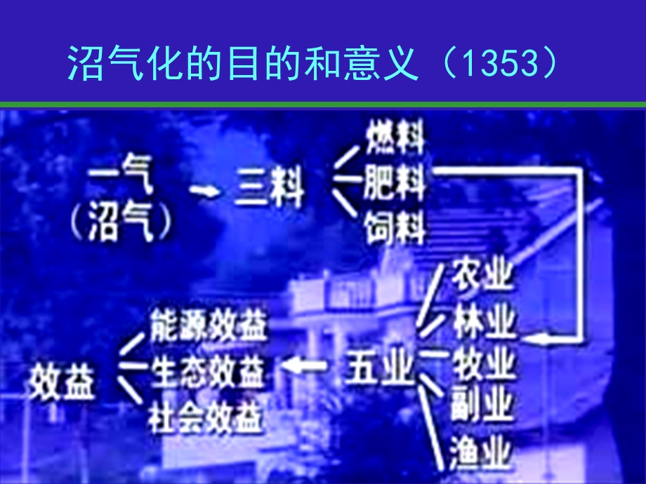 固体废物处理与资源化-畜禽养殖业的固废处理.ppt_第3页