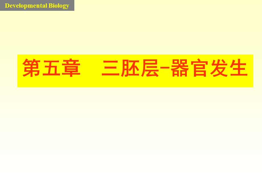 发育学课件5neuron三胚层-器官发生.ppt_第1页