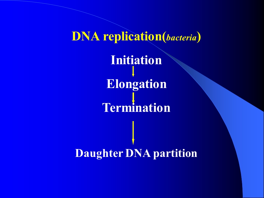 参与原核生物DNA复制的酶类和蛋白质.ppt_第2页