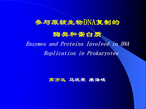 参与原核生物DNA复制的酶类和蛋白质.ppt