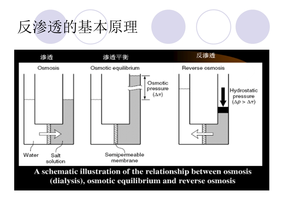 反渗透预处理系统培训-925　.ppt_第3页