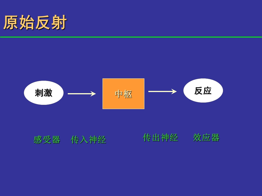 妇幼保健学课件婴儿神经反射与发育里程碑的评定.ppt_第2页