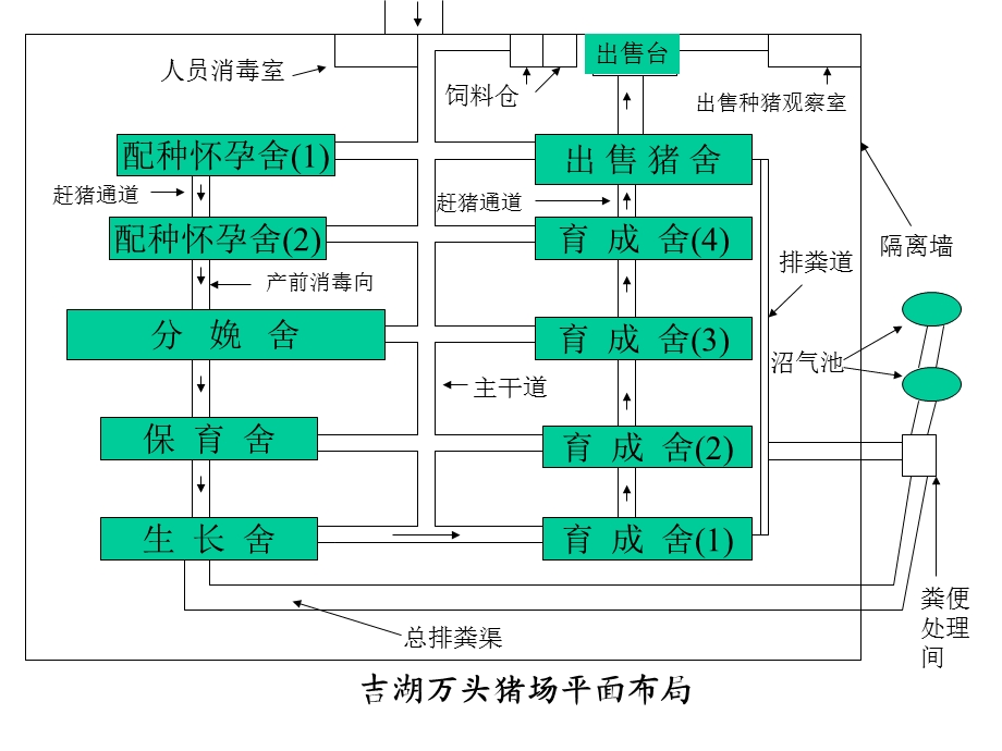 大型规模化猪场平面示意图集.ppt_第3页