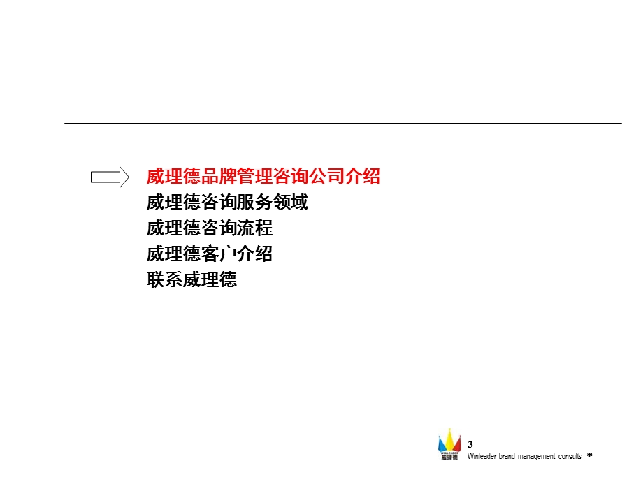 国内知名咨询公司介绍资料.ppt_第2页