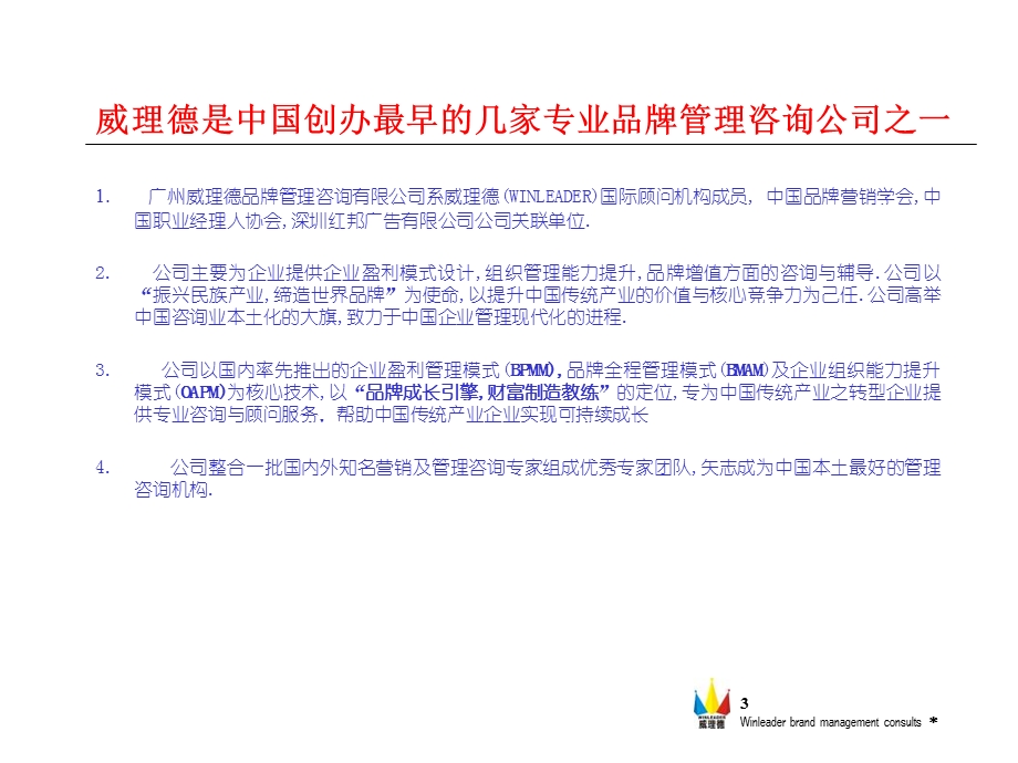 国内知名咨询公司介绍资料.ppt_第3页