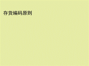 存货编码原则.ppt