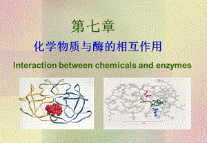 化学物质与酶的相互作用.ppt