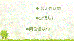 定语从句,名词性从句,同位语从句,及其区别.ppt