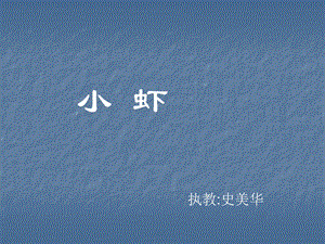 北师大版小学三年级下册语文《小虾》课件PPT.ppt