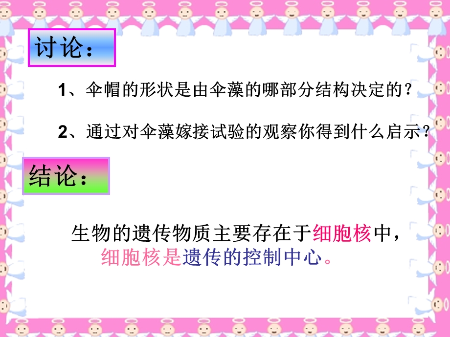 复习第二章、生物遗传和变异.ppt_第3页