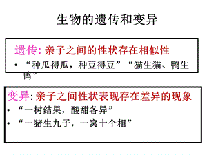 复习第二章、生物遗传和变异.ppt