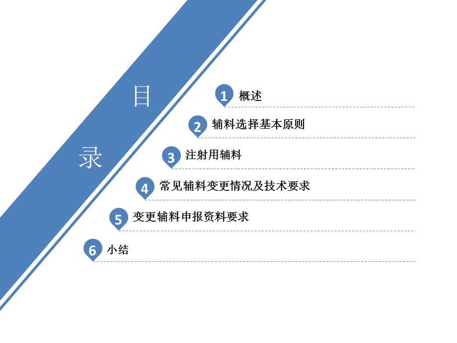 变更药品处方中已有药用要求辅料的技术要求.ppt_第2页