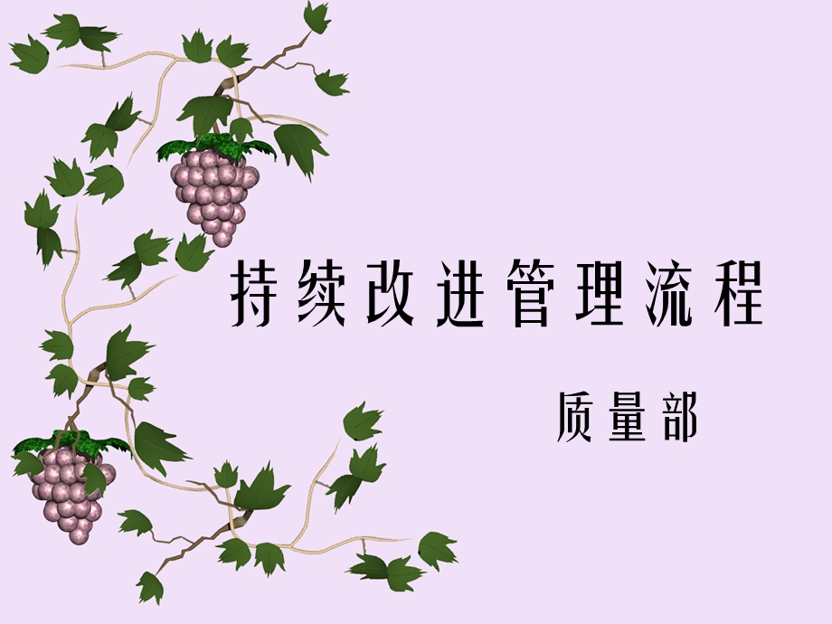 持续改进管理流程.ppt_第1页