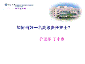 护理组长高级责任护士.ppt