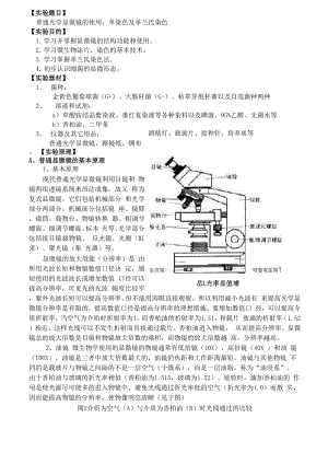 普通光学显微镜的使用单染色及革兰氏染色.docx