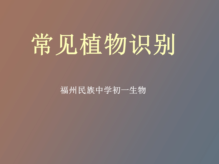 常见学校植物.ppt_第1页