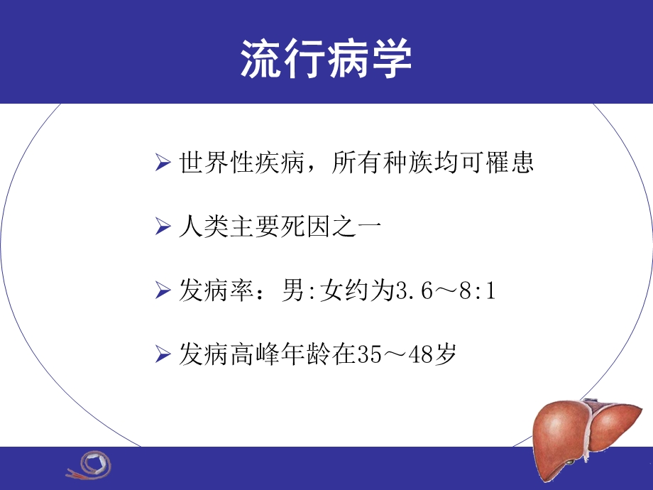 大学本科教学第8版肝硬化.ppt_第3页