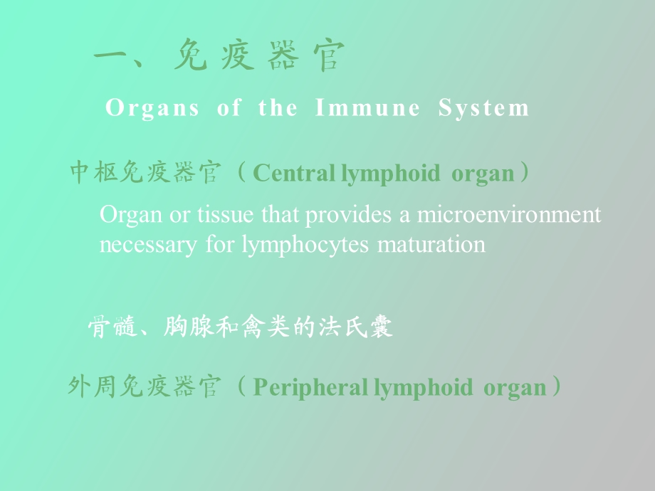 本科免疫系统.ppt_第2页