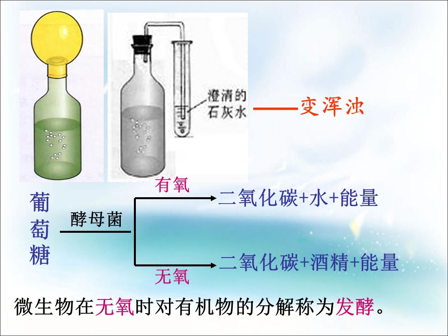 巴氏消毒法巴氏消毒法高温灭菌.ppt_第3页