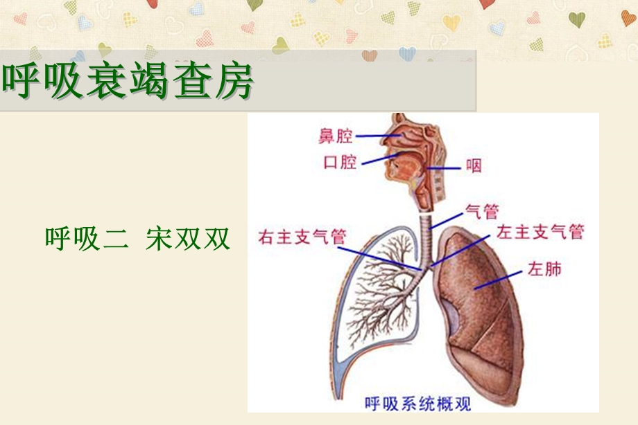 呼吸衰竭护理查房宋双双.ppt_第1页