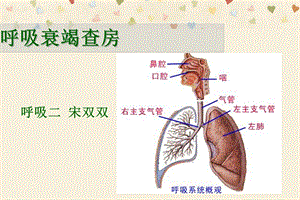 呼吸衰竭护理查房宋双双.ppt