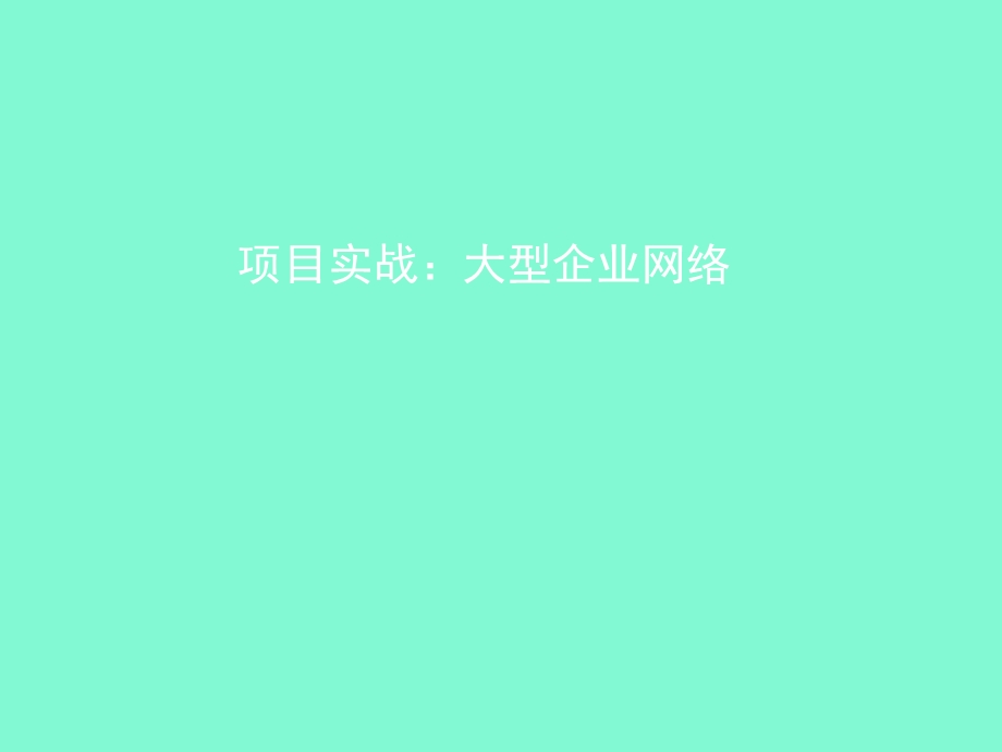 大型企业网络.ppt_第1页