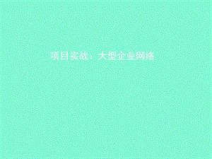 大型企业网络.ppt