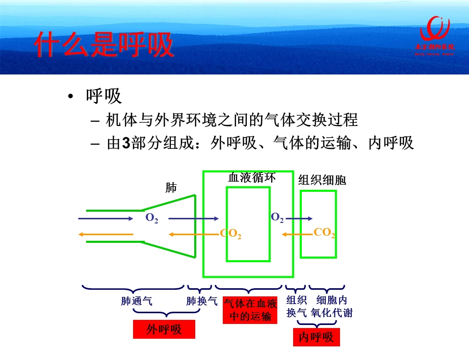 机械通气相关的呼吸生.ppt_第2页